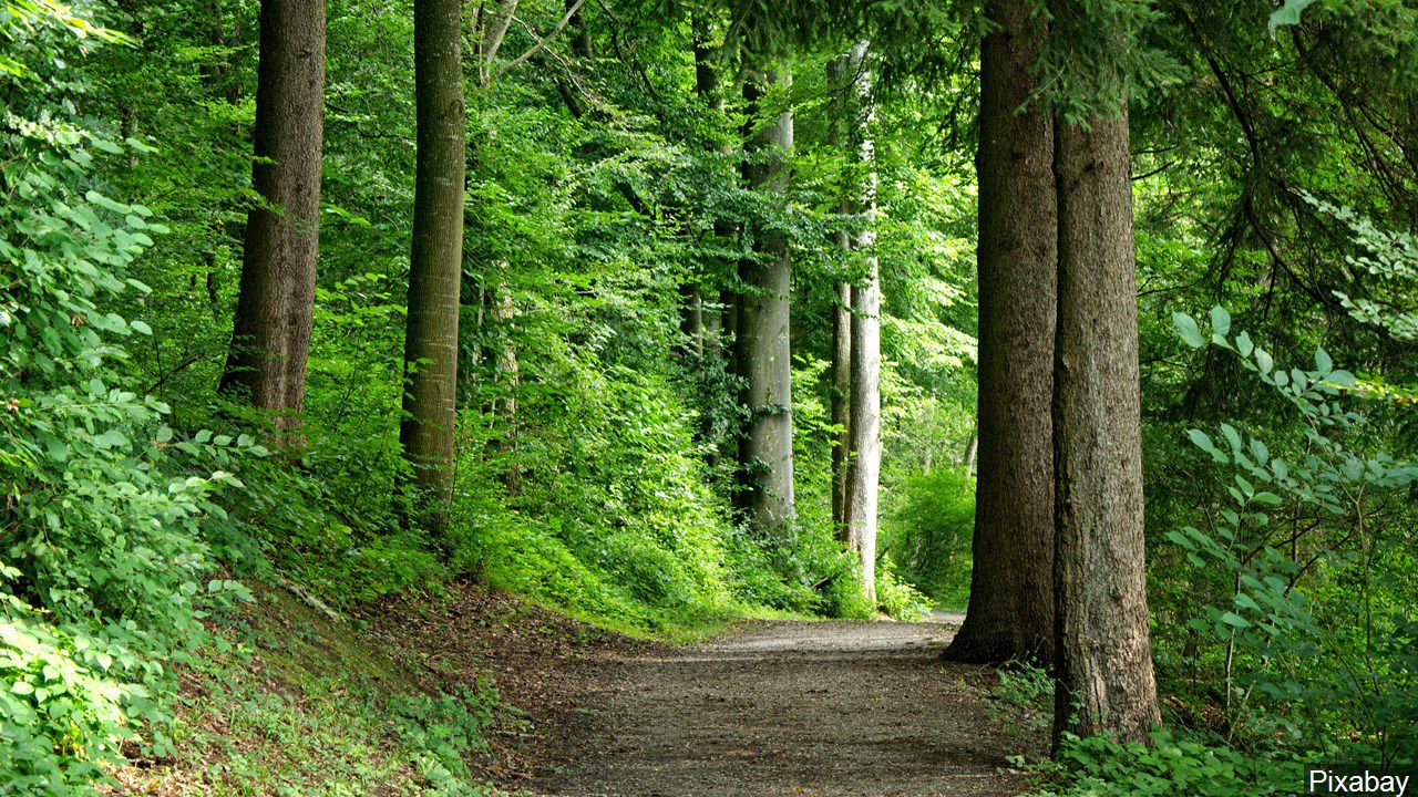 HIKING TRAIL